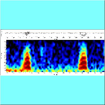 Serrasalmus spp sanchezi_odyssei complex_spectrogram2.png